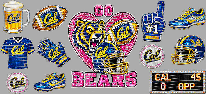 16oz team-NFL 3669